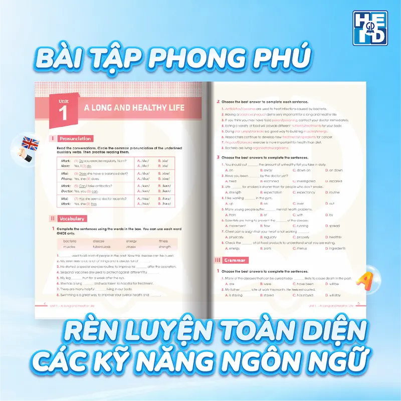 Cấu trúc sách bài tập Tiếng Anh lớp 11