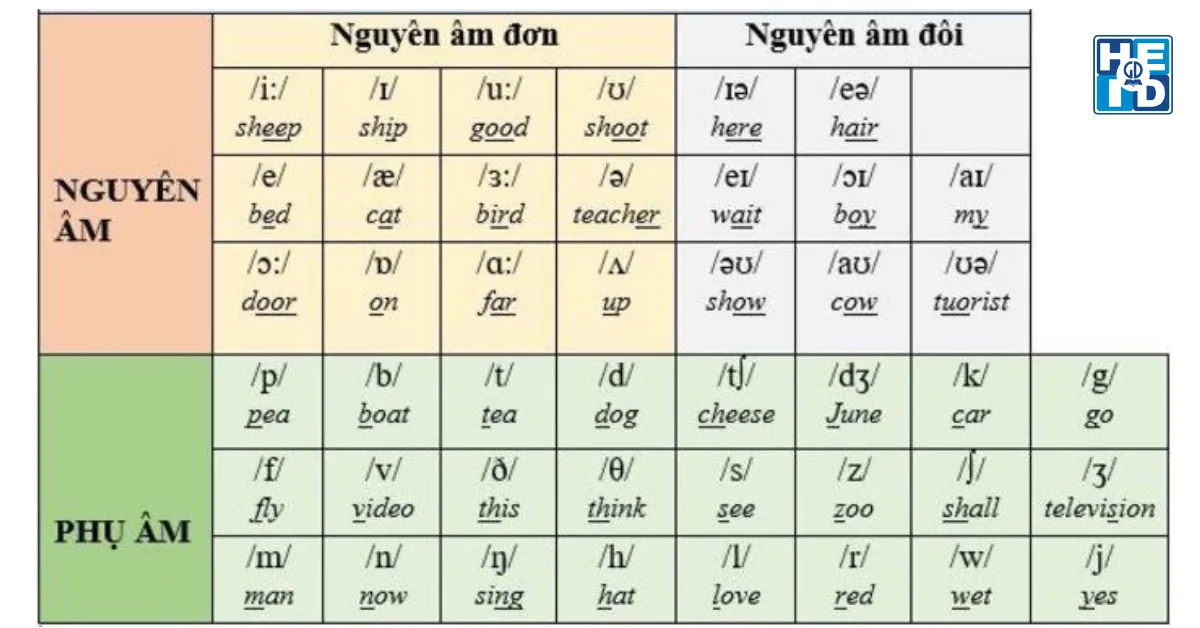 Lộ trình ôn thi Tiếng Anh vào 10 - Lý thuyết
