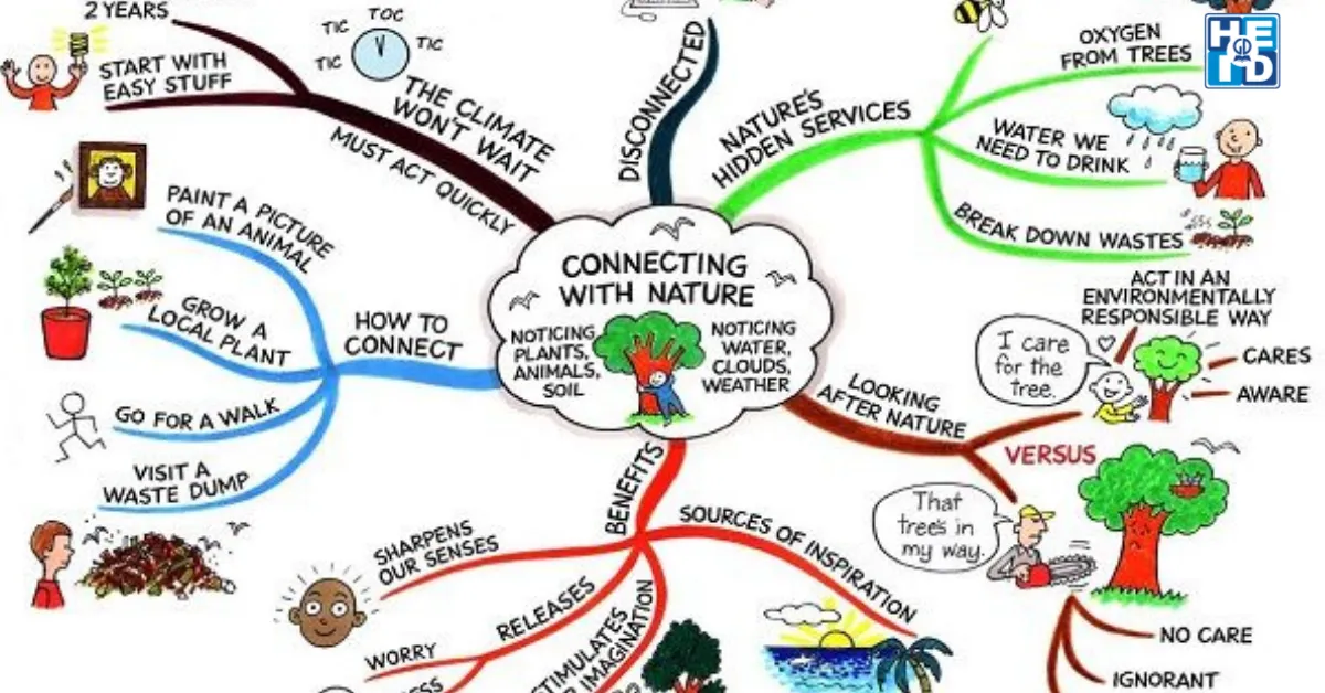 Mindmap - Phương pháp dạy ngữ pháp tiếng anh
