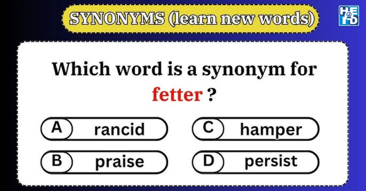 Synonym showdown– Trò chơi từ vựng tiếng anh lớp 11