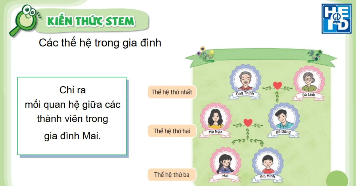 Cây gia đình - stem lớp 2