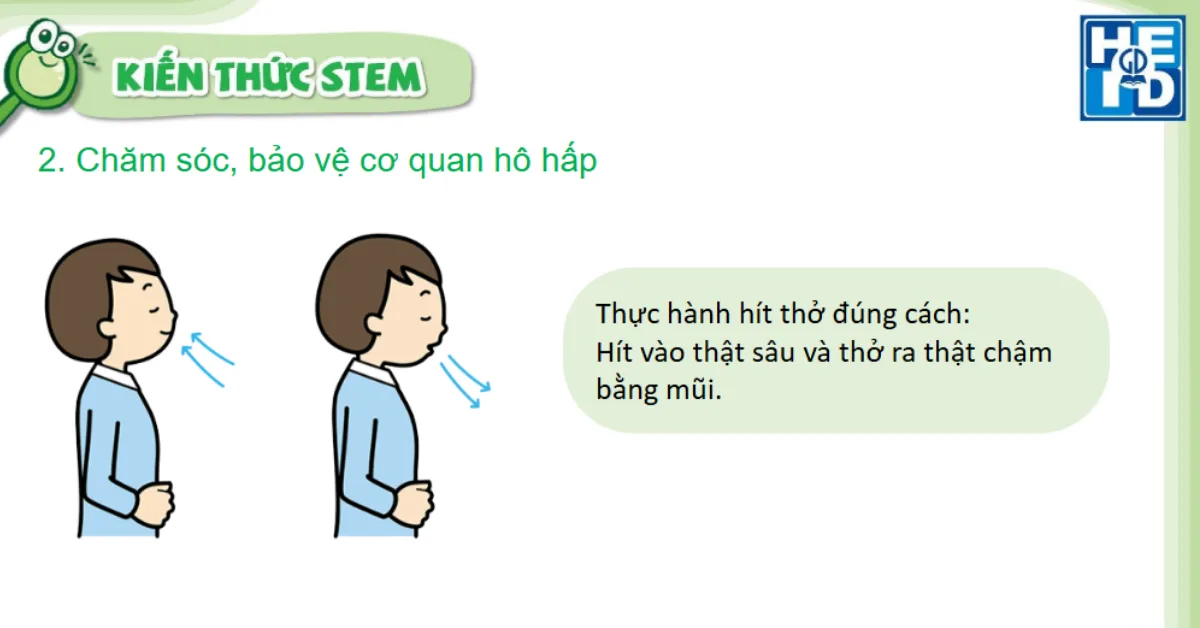 Khẩu trang của em - Stem lớp 2